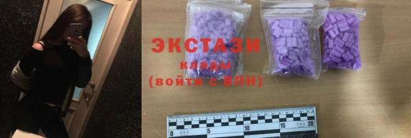 ГАЛЛЮЦИНОГЕННЫЕ ГРИБЫ Богданович