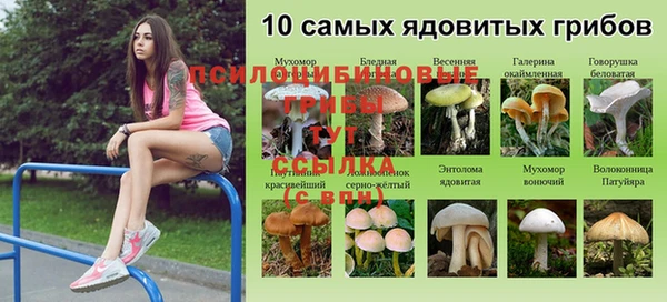 МДМА Богородск