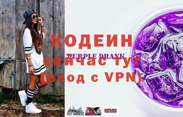ГАЛЛЮЦИНОГЕННЫЕ ГРИБЫ Богданович