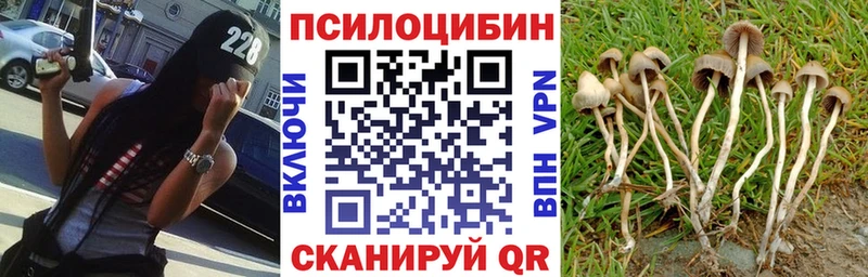 Псилоцибиновые грибы MAGIC MUSHROOMS  мега вход  Сосногорск 